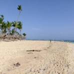 Пляж loking слева (Пунта-Кана)